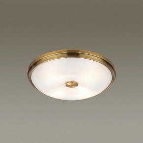 Накладной светильник Odeon Light Pelow 4956/4 в Новом Уренгое - novyy-urengoy.mebel24.online | фото 2