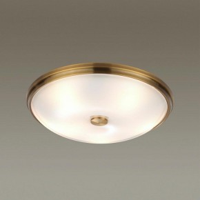 Накладной светильник Odeon Light Pelow 4956/5 в Новом Уренгое - novyy-urengoy.mebel24.online | фото 2