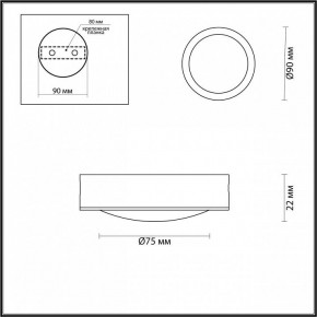 Накладной светильник Odeon Light Reus 4342/7CL в Новом Уренгое - novyy-urengoy.mebel24.online | фото 4