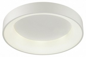 Накладной светильник Odeon Light Sole 4062/50CL в Новом Уренгое - novyy-urengoy.mebel24.online | фото 3