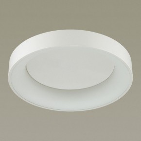 Накладной светильник Odeon Light Sole 4062/50CL в Новом Уренгое - novyy-urengoy.mebel24.online | фото 4