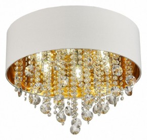 Накладной светильник ST-Luce Lacchia SL1350.502.06 в Новом Уренгое - novyy-urengoy.mebel24.online | фото 3