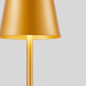 Настольная лампа декоративная F-promo Pyari 4616-1T в Новом Уренгое - novyy-urengoy.mebel24.online | фото 5