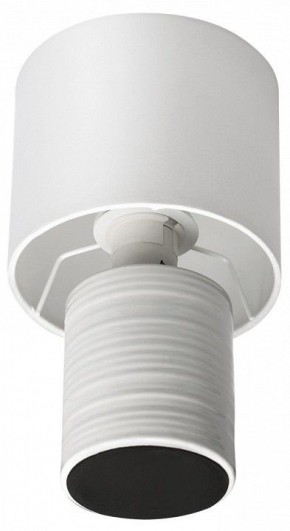 Настольная лампа декоративная Lumion Tuala 8144/1Т в Новом Уренгое - novyy-urengoy.mebel24.online | фото 3