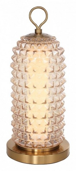 Настольная лампа декоративная ST-Luce SAGUARO SL6144.304.01 в Новом Уренгое - novyy-urengoy.mebel24.online | фото 2