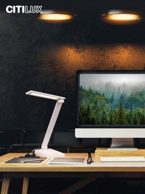 Настольная лампа офисная Citilux Ньютон CL803080 в Новом Уренгое - novyy-urengoy.mebel24.online | фото 10