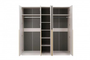 НИКОЛЬ 25 Шкаф 5-ти створчатый в Новом Уренгое - novyy-urengoy.mebel24.online | фото 3