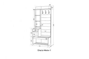 ОЛЬГА-МИЛК Прихожая (модульная) в Новом Уренгое - novyy-urengoy.mebel24.online | фото 2