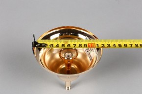 Подвесная люстра Aployt Daniele APL.701.03.12 в Новом Уренгое - novyy-urengoy.mebel24.online | фото 6