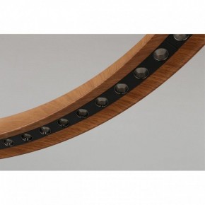 Подвесная люстра Aployt Justyna APL.787.03.75 в Новом Уренгое - novyy-urengoy.mebel24.online | фото 10