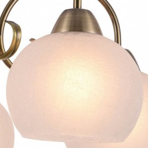Подвесная люстра Arte Lamp Margo A9317LM-5AB в Новом Уренгое - novyy-urengoy.mebel24.online | фото 2
