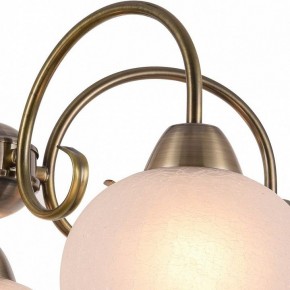Подвесная люстра Arte Lamp Margo A9317LM-5AB в Новом Уренгое - novyy-urengoy.mebel24.online | фото 3