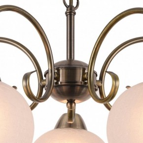 Подвесная люстра Arte Lamp Margo A9317LM-5AB в Новом Уренгое - novyy-urengoy.mebel24.online | фото 4