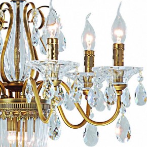 Подвесная люстра Arte Lamp Schelenberg A4410LM-6-2SR в Новом Уренгое - novyy-urengoy.mebel24.online | фото 4