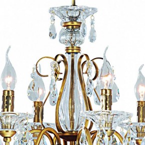 Подвесная люстра Arte Lamp Schelenberg A4410LM-6-2SR в Новом Уренгое - novyy-urengoy.mebel24.online | фото 5