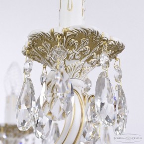 Подвесная люстра Bohemia Ivele Crystal AL7801 AL78101/10/250 A WMG в Новом Уренгое - novyy-urengoy.mebel24.online | фото 7