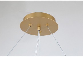 Подвесная люстра Favourite Ginkoa 4080-10P в Новом Уренгое - novyy-urengoy.mebel24.online | фото 9