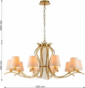 Подвесная люстра Favourite Ketten 2867-10P в Новом Уренгое - novyy-urengoy.mebel24.online | фото 4