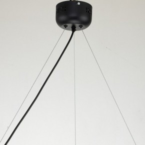 Подвесная люстра Favourite Light point 2997-6P в Новом Уренгое - novyy-urengoy.mebel24.online | фото 11