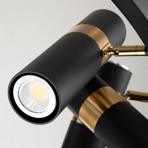 Подвесная люстра Favourite Light point 2997-9P в Новом Уренгое - novyy-urengoy.mebel24.online | фото 5