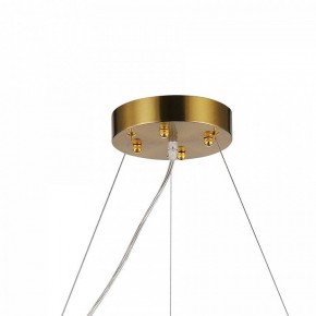 Подвесная люстра Favourite Magnitudo 2206-12P в Новом Уренгое - novyy-urengoy.mebel24.online | фото 7