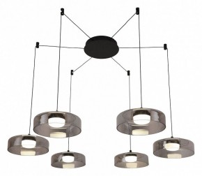 Подвесная люстра Favourite Platta 4490-6P в Новом Уренгое - novyy-urengoy.mebel24.online | фото