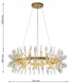 Подвесная люстра Favourite Rays 4058-14P в Новом Уренгое - novyy-urengoy.mebel24.online | фото 7