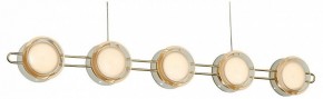 Подвесная люстра Favourite Yo-yo 4334-10P в Новом Уренгое - novyy-urengoy.mebel24.online | фото