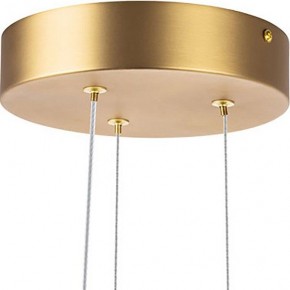 Подвесная люстра Lightstar Bergamo 745247 в Новом Уренгое - novyy-urengoy.mebel24.online | фото 6