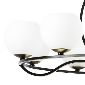 Подвесная люстра Lightstar Enna 762117 в Новом Уренгое - novyy-urengoy.mebel24.online | фото 4