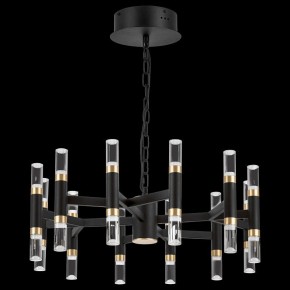Подвесная люстра Lightstar Iris 734247 в Новом Уренгое - novyy-urengoy.mebel24.online | фото 3