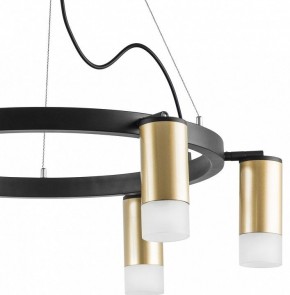 Подвесная люстра Lightstar Rullo LR0164061 в Новом Уренгое - novyy-urengoy.mebel24.online | фото 4