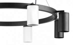 Подвесная люстра Lightstar Rullo LR018364374 в Новом Уренгое - novyy-urengoy.mebel24.online | фото 5