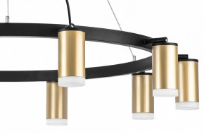 Подвесная люстра Lightstar Rullo LR0204000 в Новом Уренгое - novyy-urengoy.mebel24.online | фото 5