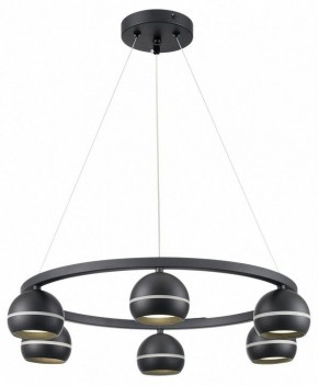Подвесная люстра Lumion Luazana 8242/6 в Новом Уренгое - novyy-urengoy.mebel24.online | фото 3