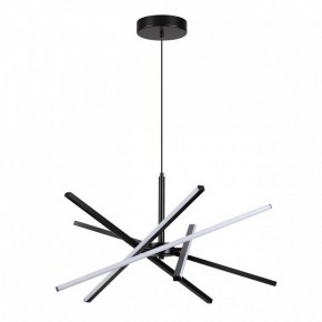 Подвесная люстра Lumion Parker 6563/60L в Новом Уренгое - novyy-urengoy.mebel24.online | фото 2