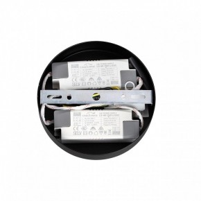 Подвесная люстра Lumion Parker 6563/60L в Новом Уренгое - novyy-urengoy.mebel24.online | фото 6