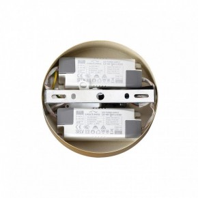 Подвесная люстра Lumion Parker 6564/60L в Новом Уренгое - novyy-urengoy.mebel24.online | фото 6