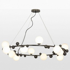 Подвесная люстра Lussole Coosa LSP-8654 в Новом Уренгое - novyy-urengoy.mebel24.online | фото 3
