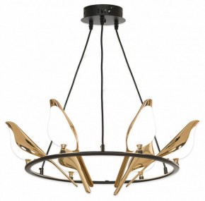 Подвесная люстра Lussole Jasper LSP-8641 в Новом Уренгое - novyy-urengoy.mebel24.online | фото 4