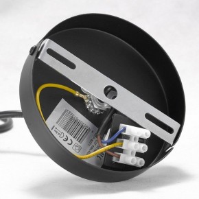 Подвесная люстра Lussole Kenner GRLSP-8271 в Новом Уренгое - novyy-urengoy.mebel24.online | фото 7