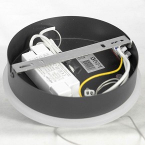 Подвесная люстра Lussole Lussoe LSP-7009 в Новом Уренгое - novyy-urengoy.mebel24.online | фото 7