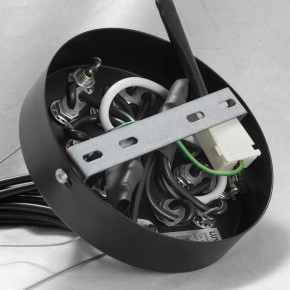 Подвесная люстра Lussole Seneca GRLSP-8177 в Новом Уренгое - novyy-urengoy.mebel24.online | фото 10