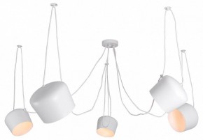 Подвесная люстра Lussole Shirley LSP-8175 в Новом Уренгое - novyy-urengoy.mebel24.online | фото