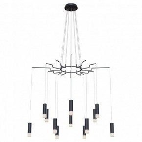 Подвесная люстра Maytoni Davida MOD035PL-12B в Новом Уренгое - novyy-urengoy.mebel24.online | фото 2