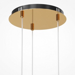 Подвесная люстра Maytoni Drop MOD273PL-L33G3K в Новом Уренгое - novyy-urengoy.mebel24.online | фото 6