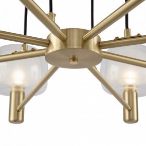 Подвесная люстра Maytoni Vision MOD411PL-08G в Новом Уренгое - novyy-urengoy.mebel24.online | фото 9