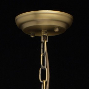 Подвесная люстра MW-Light Альгеро 3 285010703 в Новом Уренгое - novyy-urengoy.mebel24.online | фото 14