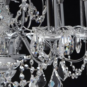 Подвесная люстра MW-Light Каролина 7 367013408 в Новом Уренгое - novyy-urengoy.mebel24.online | фото 6