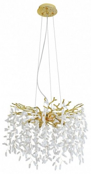 Подвесная люстра MW-Light Лайма 10 467012808 в Новом Уренгое - novyy-urengoy.mebel24.online | фото